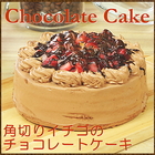 【セゾン用】角切りイチゴのチョコレートケーキ 5号