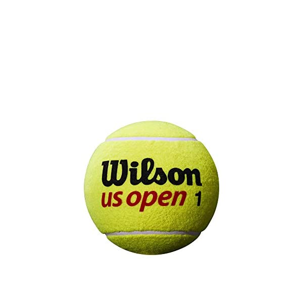 Wilson ウイルソン サイン用 テニスボール Us Open Mini Jumbo Ball Usオープン ミニジャンボボール 1個 Wrt1415u ウィルソン
