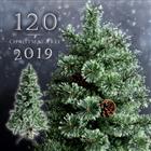 まるで本物 リアル クリスマスツリー 120cm 2019 松ぼっくり付