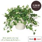 人工観葉植物 国産 アイビー 28cm 5号 光触媒