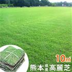 熊本県産高麗芝 天然芝 産地直送 芝生 天然芝 10平米