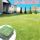熊本県産姫高麗芝 天然芝 産地直送 芝生 天然芝 10平米