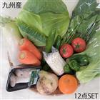 九州の安心で美味しい野菜をダイレクトにご家庭へ！畑直！ 12品目 おまかせ 野菜セット 九州産 冷蔵便