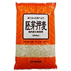 送料無料ムソー胚芽押麦〈国内産〉 800g