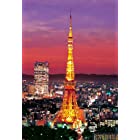 送料無料300ピース ジグソーパズル 東京タワー ライトアップ (26x38cm)