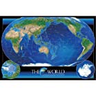 送料無料スターリーテイルズ the Zodiac by KAGAYA 1000ピース THE WORLD -世界全図-【光るパズル】 (50cm×75cm、対応パネルNo.10)