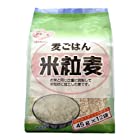 送料無料日本精麦 米粒麦 (45g×12本)×6個