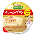 送料無料やさしくラクケア クリーミープリンカスタード 63g×12個