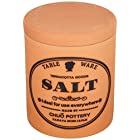 美濃焼 テラコッタ キャニスター 塩 salt K60709