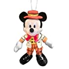 送料無料ディズニーハロウィーン2014　トミカ ミッキーマウス ミニーマウス【東京ディズニーリゾート限定】
