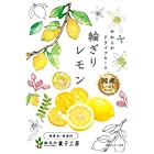 送料無料南信州菓子工房 国産輪切りレモン 24g ×10袋