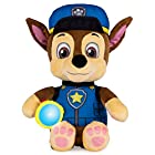 送料無料PAW Patrol Skye Plush Stuffed Animal with Light Up Flashlight and Lullaby Sounds, Fun and Playful Toy Buddy for Girls a