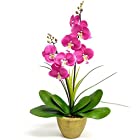 【2ndFloor】LEDフラワー Orchid（胡蝶蘭） 7輪 パープル/光るフェイクグリーン（造花）