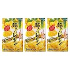 送料無料南信州菓子工房　国産ドライフルーツ (輪切りレモン（大袋）60g) ×3袋セット