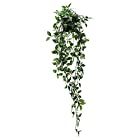 IKEA/イケア FEJKA：人工観葉植物/つり下げ型70 cm（403.495.45）