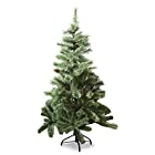 送料無料クリスマスツリー 150㎝ おしゃれ 北欧 松ぼっくり付き ドイツトウヒツリー Abies アビエス