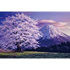 送料無料1000ピース ジグソーパズル 富士山 桜満開のころ（EVENTUAL PAYSAGE）（50x75cm）