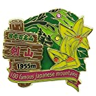 送料無料日本百名山[ピンバッジ]2段ピンズ/剣山 エイコー トレッキング 登山 グッズ 通販