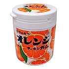 送料無料丸川製菓 マルカワ オレンジマーブルガム ボトル 130g×3個