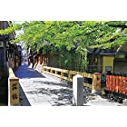 送料無料1000ピース ジグソーパズル 京風情‐祇園巽橋‐(京都) (50x75cm)