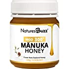 送料無料Natures Buzz　マヌカハニー　ニュージーランド産天然はちみつ　直輸入　MGO300+　250g　正規品