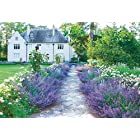 送料無料エポック社 300ピースジグソーパズル 世界の美しい庭園 ライラック ブルー ガーデン(26x38cm)