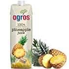 送料無料agros パイナップル ジュース　パインアップル　果汁100％ 1L×12本 無添加 紙パック 業務用 まとめ買い 濃縮還元