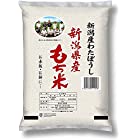 送料無料もち米 新潟県産 わたぼうし 1kg 令和4年産