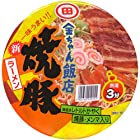 送料無料徳島製粉 金ちゃん飯店 焼豚ラーメン 156g ×12個