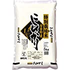 送料無料【精米】 特別栽培米 安曇野産 コシヒカリ 5kg 令和4年産