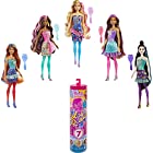 送料無料バービー(Barbie) カラーリビール! みずで色マジック バルーン 【サプライズパック】【6歳~】 GWC58