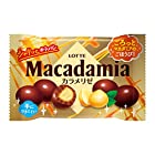 送料無料ロッテ マカダミアチョコレートポップジョイ(カラメリゼ) 34g×10個