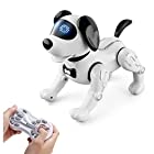 送料無料多機能ロボット 犬 ラジコンロボット スマート 電気犬 ペットのおもちゃ それは歌と踊りをする 子供のおもちゃ 趣味 科学教育 (白い) [並行輸入品]