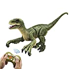 送料無料多機能ロボット恐竜 おもちゃ RC恐竜 リモート操作 USB充電式 リアルな外観 科学教育 子供のおもちゃ 誕生日プレゼント (緑)