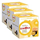 送料無料GIMOKA イタリア ドルチェグスト互換カプセル LUNGO (ルンゴ）48杯分（1箱16カプセル入り×3箱）