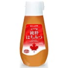 送料無料日本蜂蜜 カナダ産純粋はちみつ 250g×2個