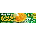 送料無料UHA味覚糖 ぷっちょスティック 贅沢メロンソーダ 10粒 ×10個