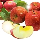 送料無料美味いとこどり りんご シナノスイート 早生フジのどちらかより選定致します 等級 赤秀 高糖度 ※フルーツマイスター監修 (10kg)