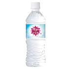 送料無料シリカ水 500ml 24本 高濃度シリカ水 理想のシリカ ミネラルウォーター ケイ素水 天然水 シリカウォーター 美ウォーター 水 鳥取県産 国産