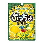 送料無料UHA味覚糖 ぷっちょボール 怪獣レモン 44g×12個