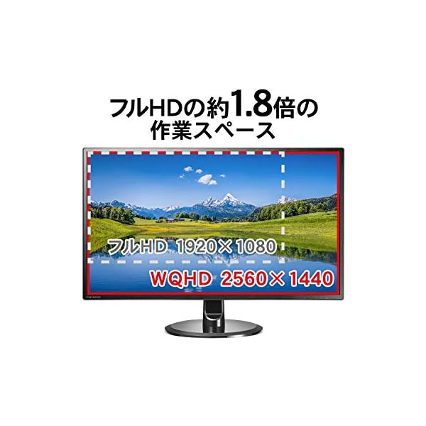 IODATA モニター 27インチ WQHD ADSパネル 非光沢 (HDMI×その他 - その他