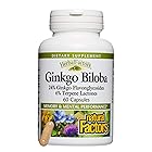 海外直送品Ginkgo Biloba, 60 mg, 60 Caps by Natural Factors