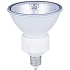 エルパ (ELPA) JDR110Ｖ40WLM/K-WH 電球 ハロゲン電球 照明 E11 110V 40W 中角20° 2個入 G-283H