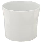 白山陶器 フリーカップ 白 (約)φ8.5×7cm 250ml ミストホワイト MIST WHITE 波佐見焼 日本製