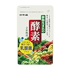 日本盛 植物生まれの 酵素 約1ヶ月分 62粒 130種 健康 サプリ 野菜不足 有機野菜 乳酸菌