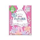 ポイズ　さらさら素肌　吸水ナプキン　安心の少量用（４０ｃｃ）　２２枚【１２個セット（ケース販売）】