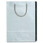 ＨＥＩＫＯ 紙袋 ブライトバッグ ＳＷＴ ギン １０枚