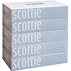 スコッティ ティシュー 400枚(200組) 5箱 ホワイトパッケージ