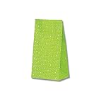 シモジマ ヘイコー 紙袋 マチ付 ファンシーバッグ K4 スリムレター 緑 13x8x23.5cm 50枚