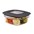 Rubbermaid (ラバーメイド) プレミア食品保存コンテナ容器 1.25-Cup グレー 1937646